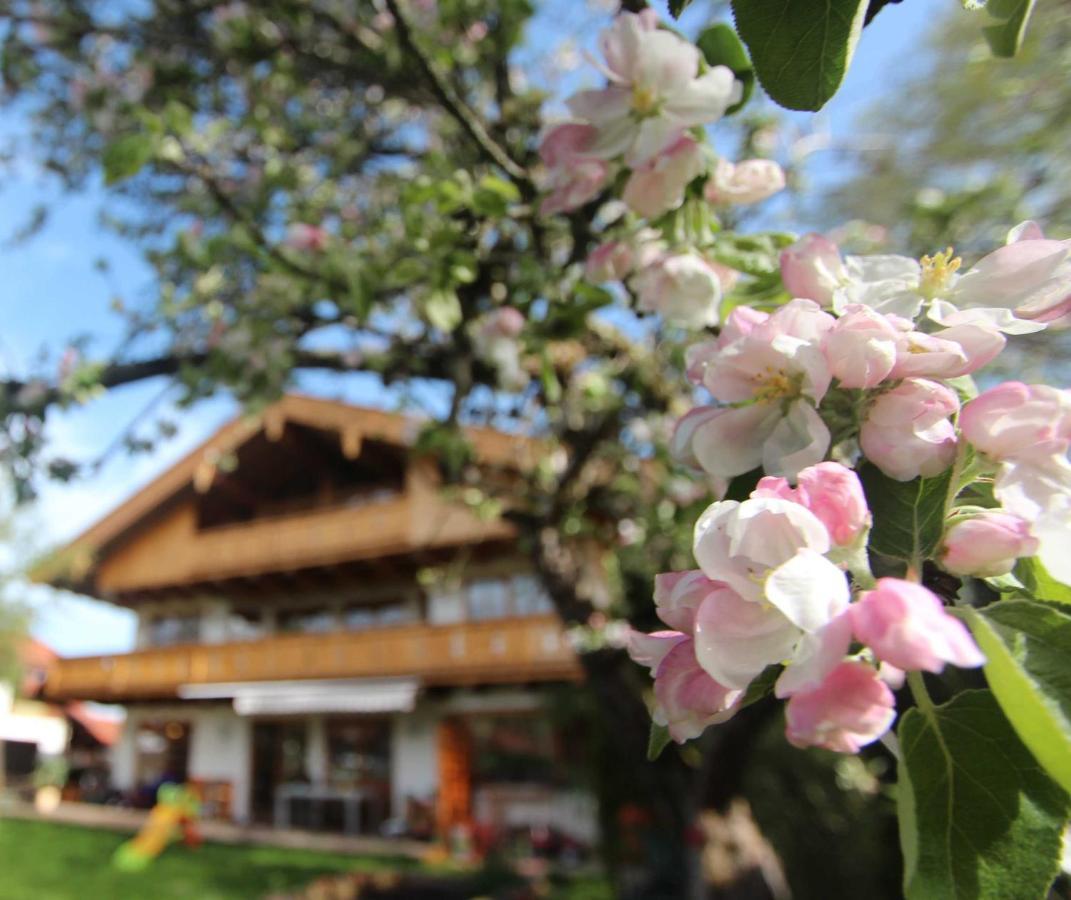 Appartementhaus Schirsner - Direkt Am See & Am Kurpark Schliersee Εξωτερικό φωτογραφία